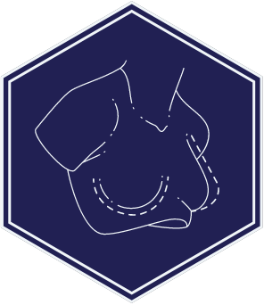 breast enlargement - dr magnusson